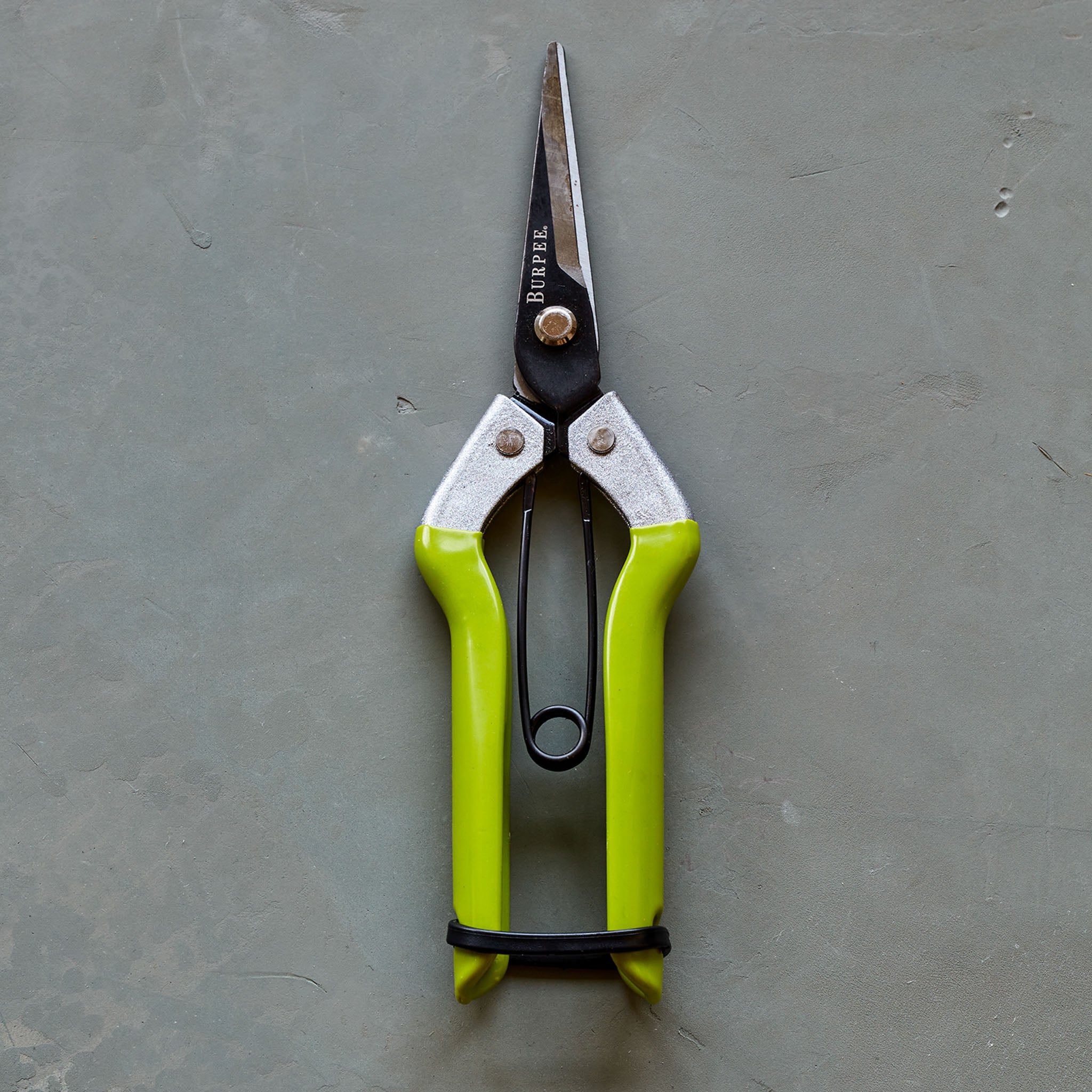 Burpee CR725 Garden Pruning Shears