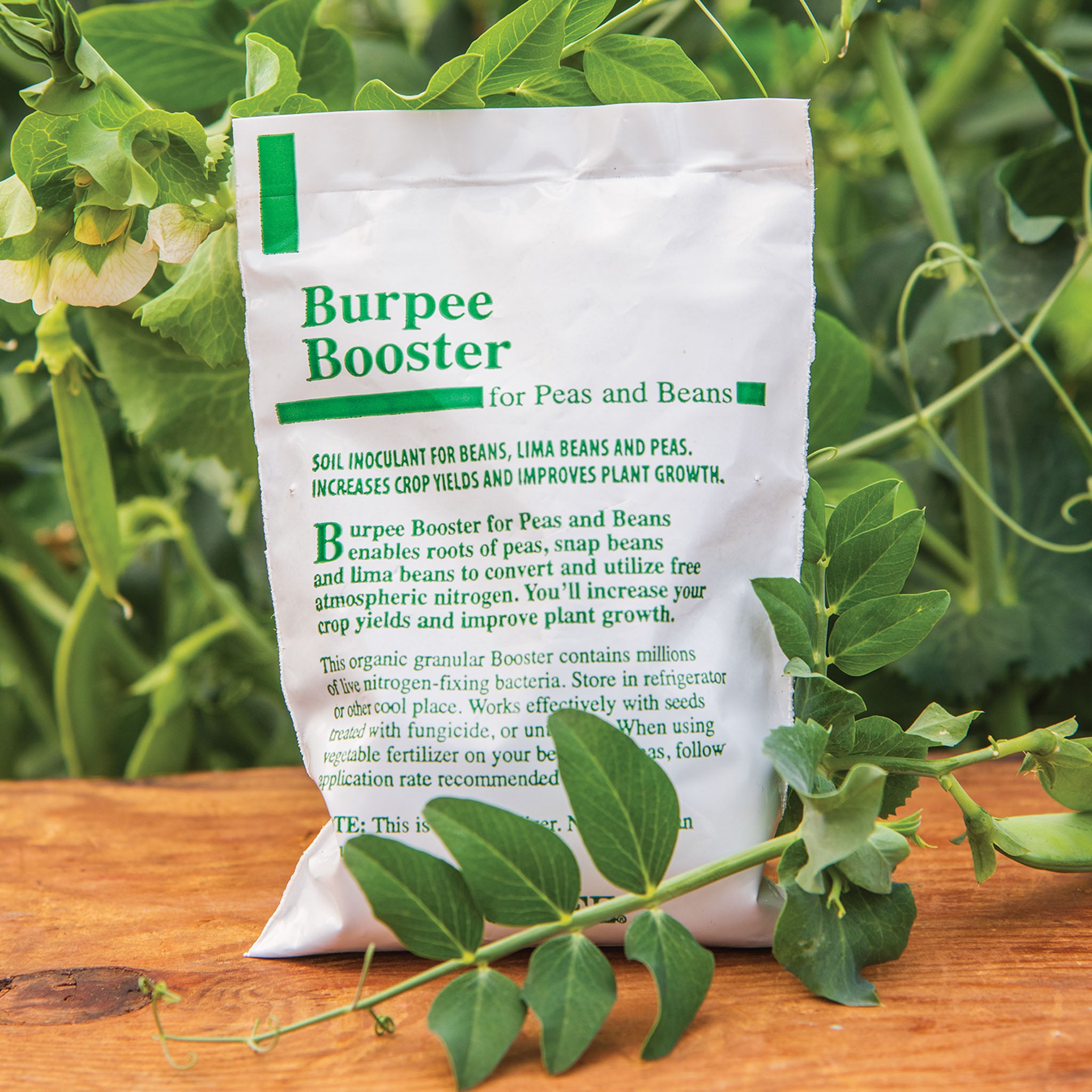 Burpee Bean & Pea Booster