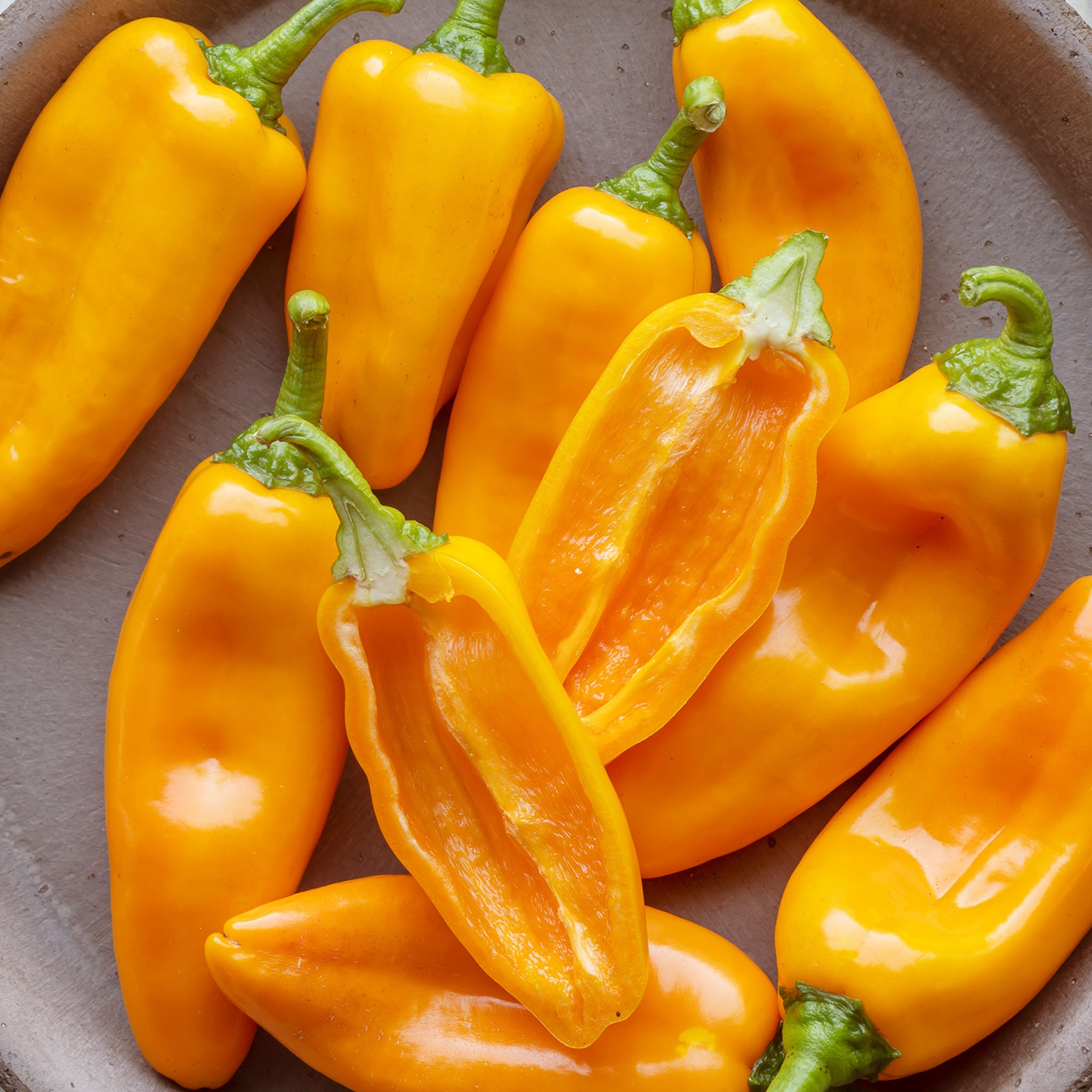 Nibbler Yellow Sweet Pepper