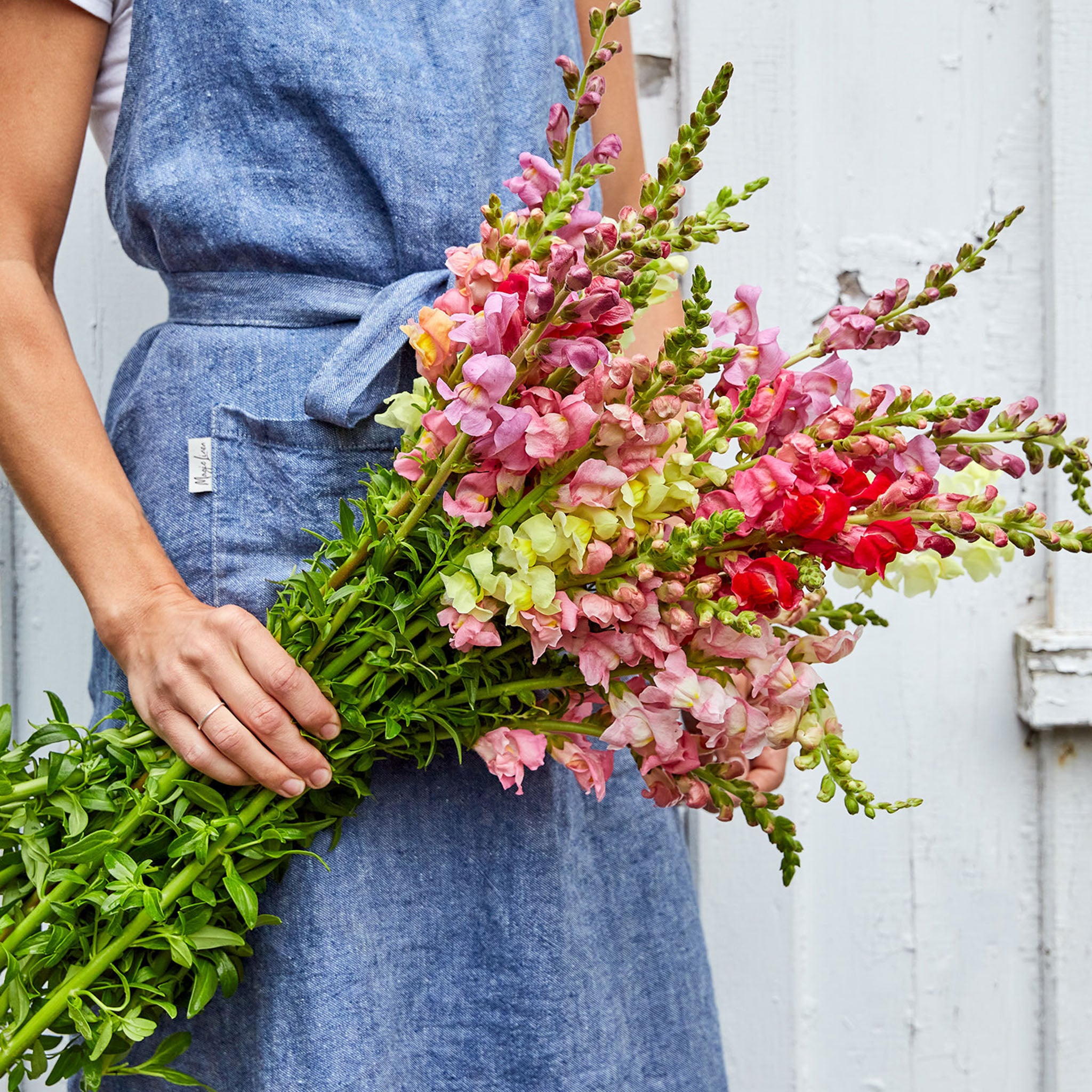 Topper Mix Snapdragon