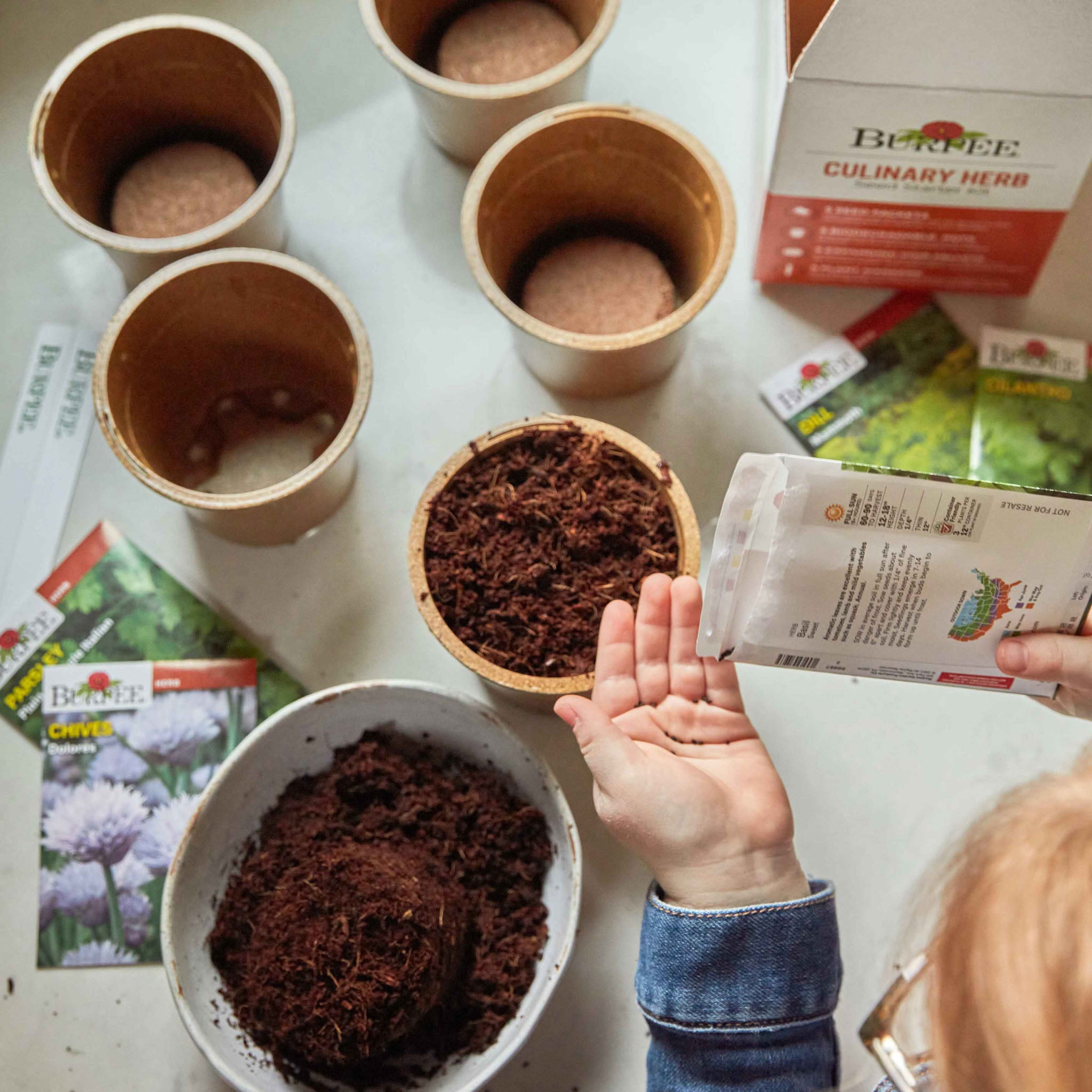 Burpee Culinary Herb Seed Starter Kit
