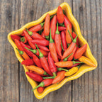 Tabasco Hot Pepper