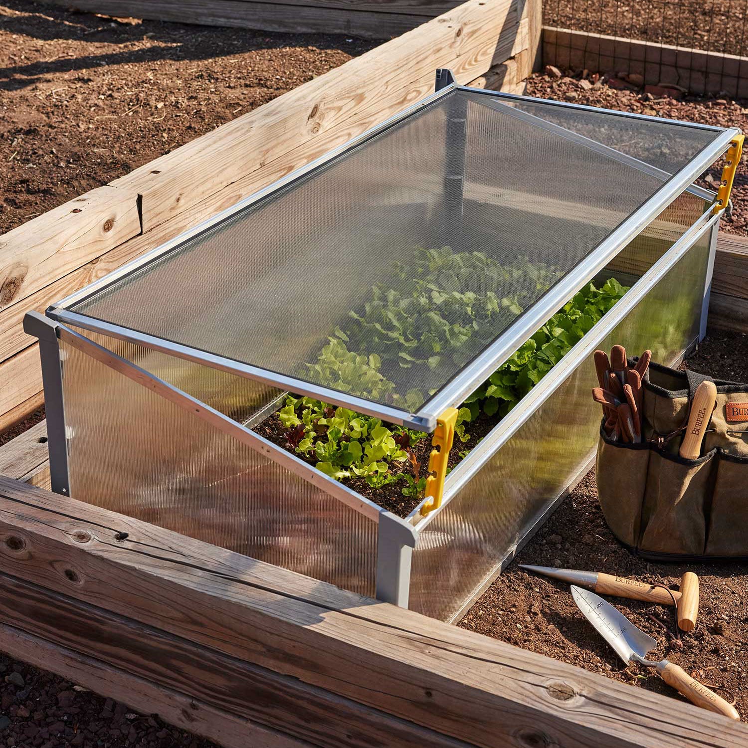 Year-Round Cold-Frame