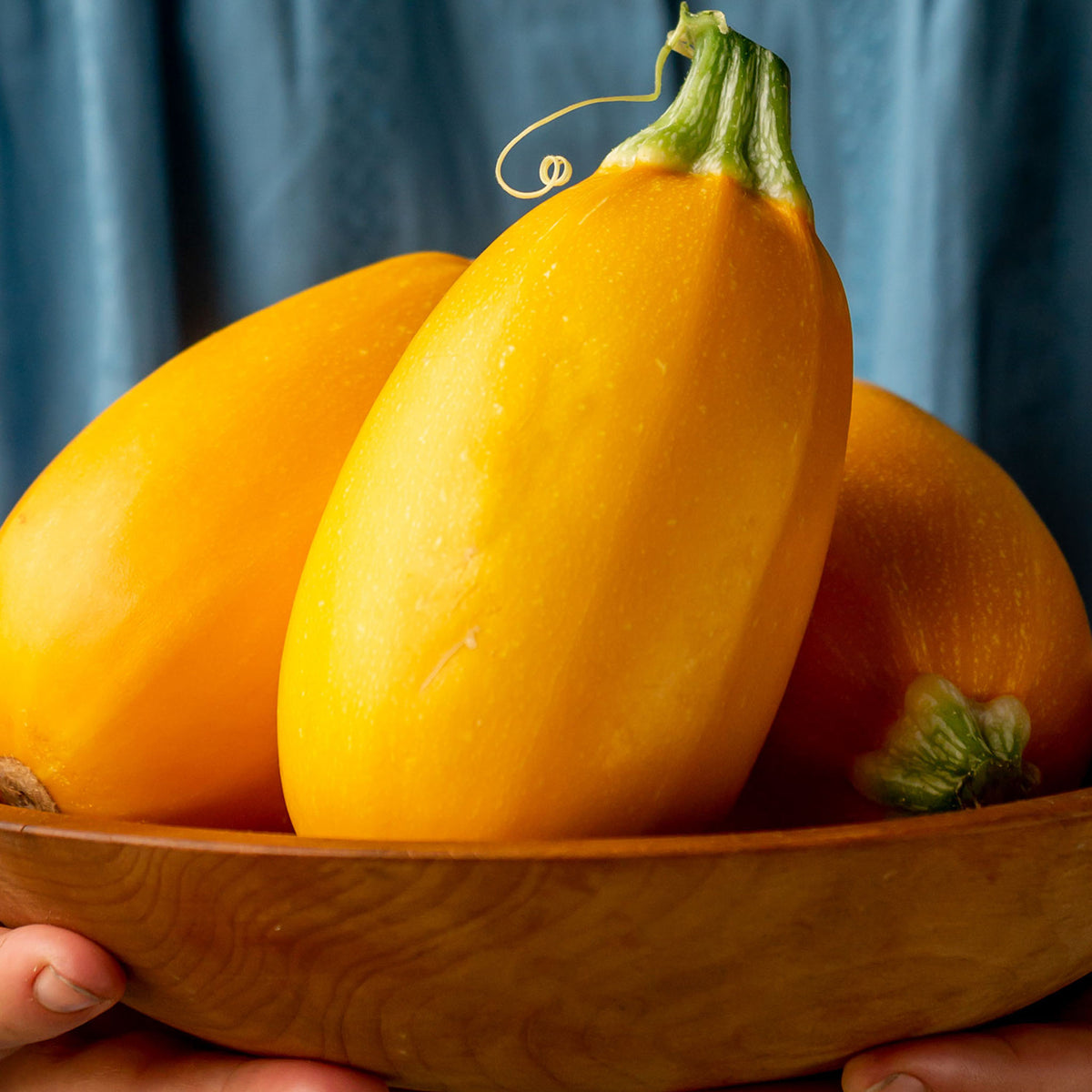 Golden Egg Summer Squash