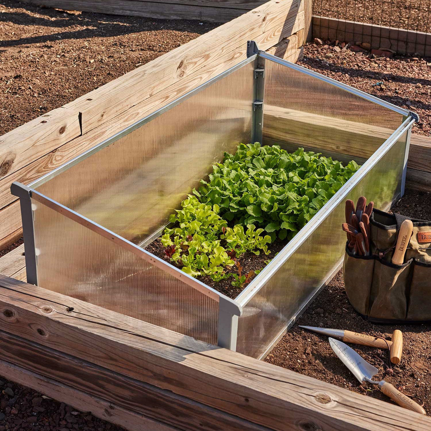 Year-Round Cold-Frame