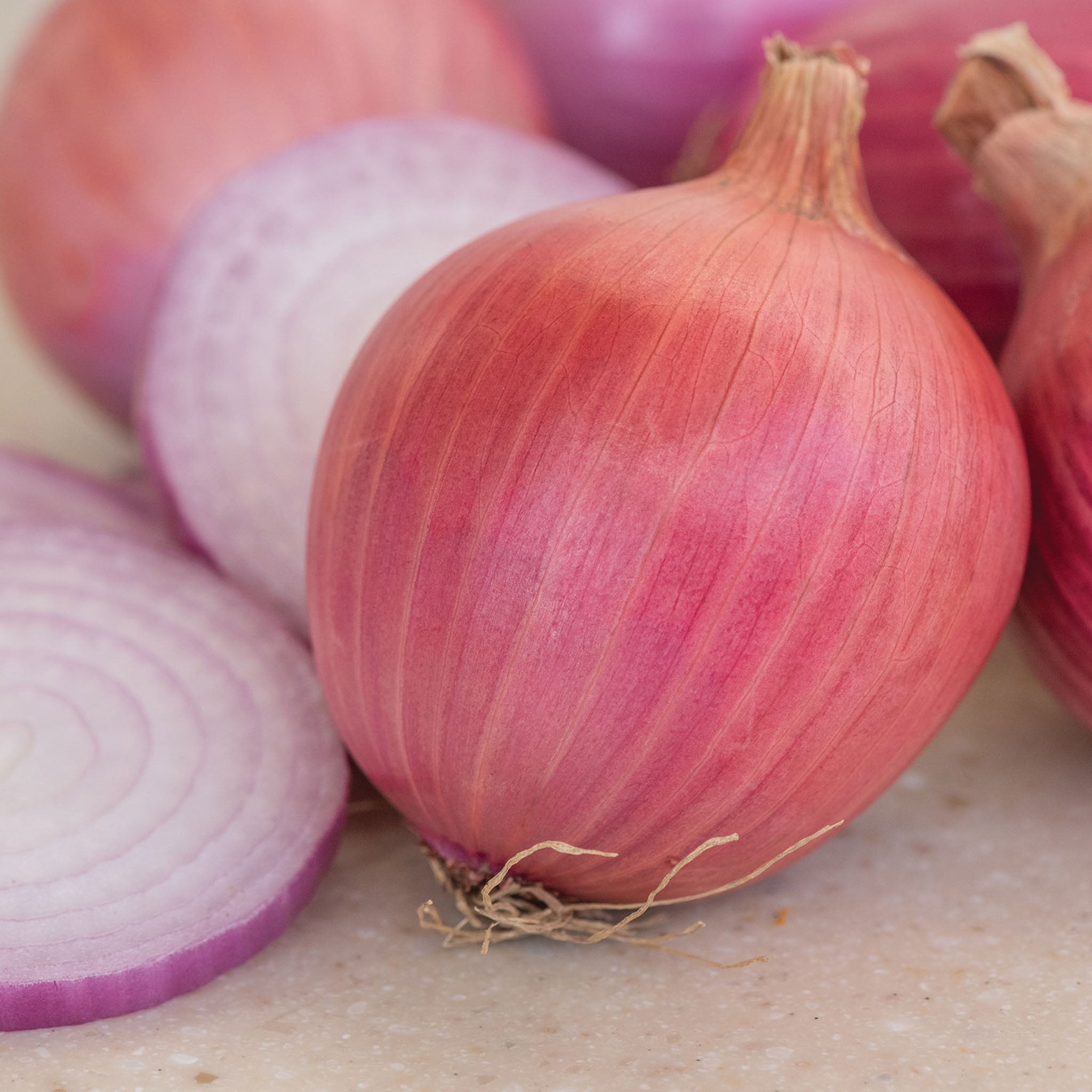 Onion Blush