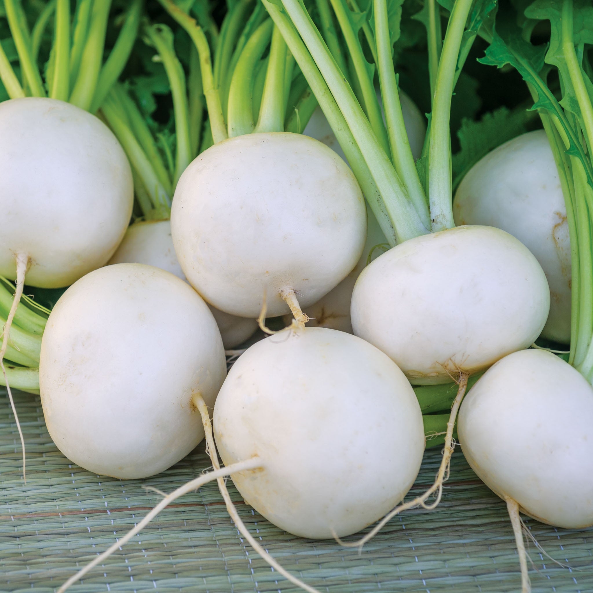 Silky Sweet Turnip
