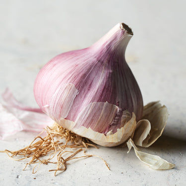 Chesnok Red Garlic Bulbs