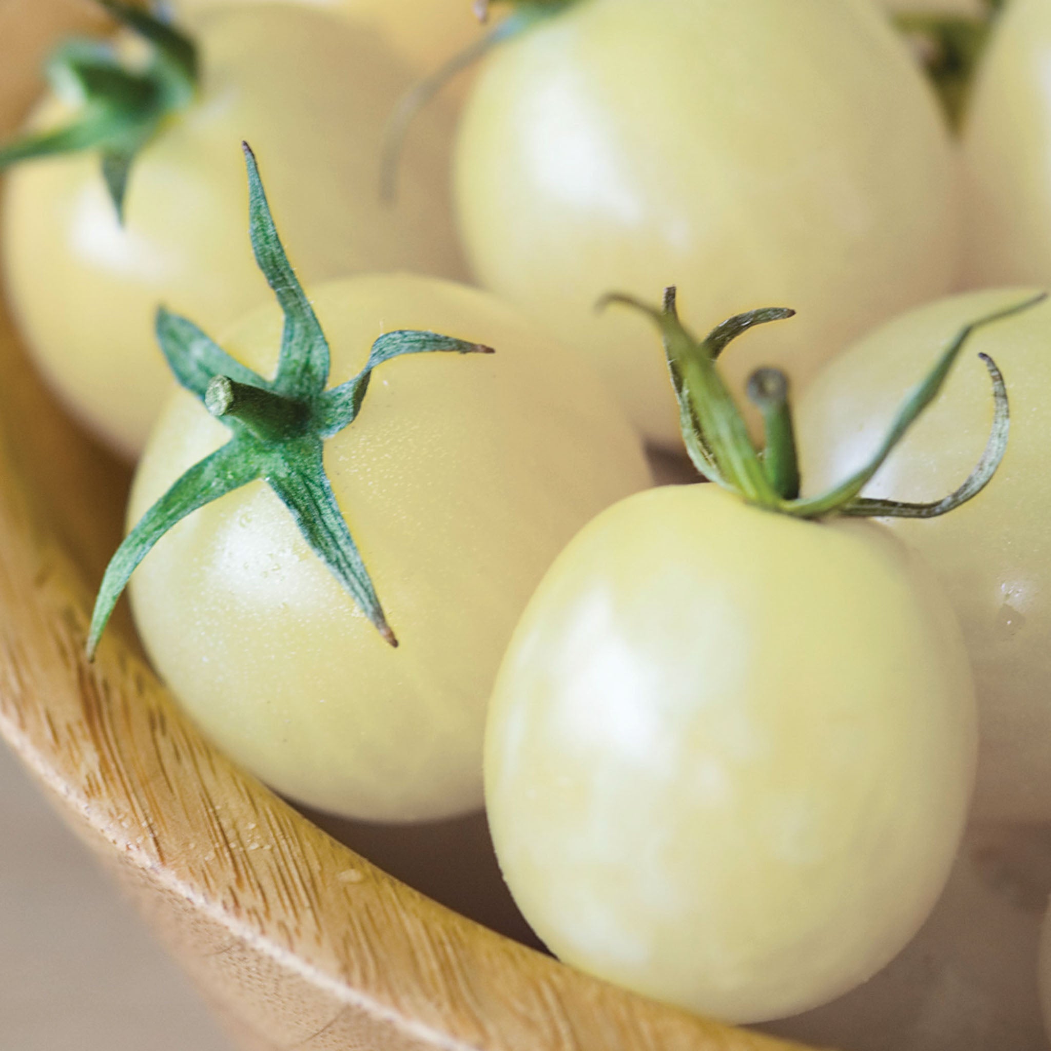 Italian Ice Tomato