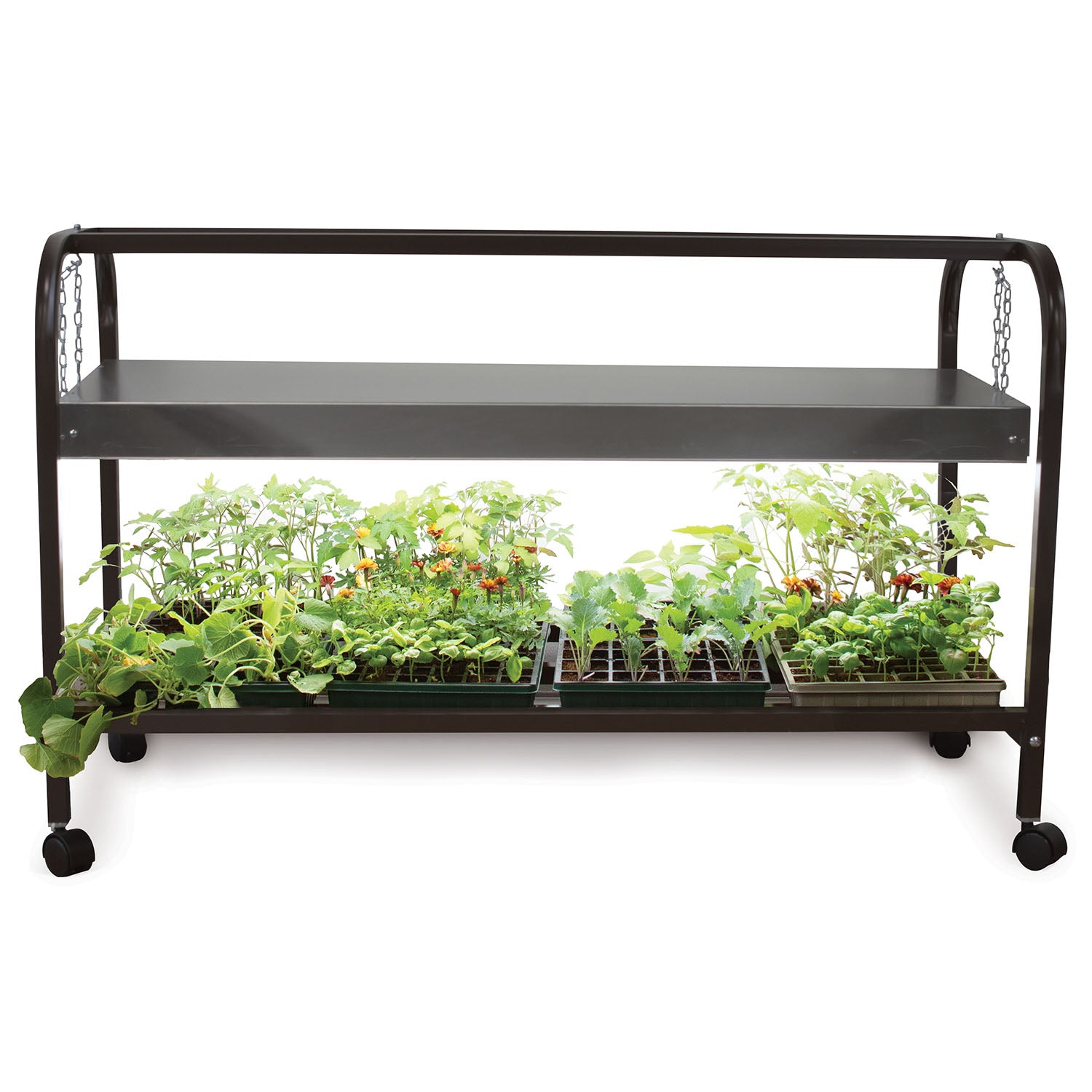 Single LED Light Glown Grow Light Garden Cart