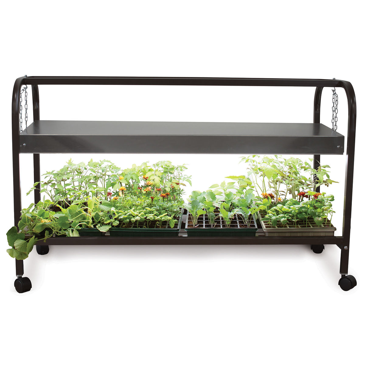 Single LED Light Glown Grow Light Garden Cart