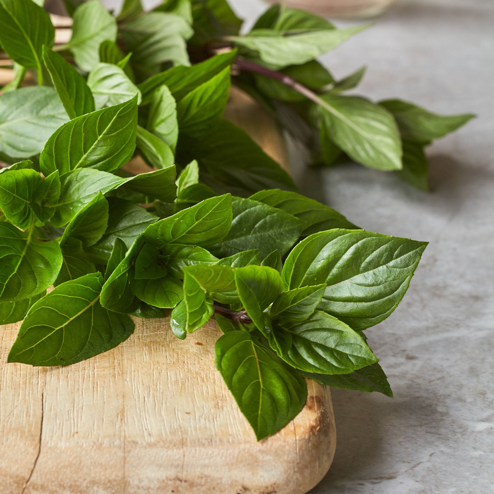 Everleaf Thai Towers Basil