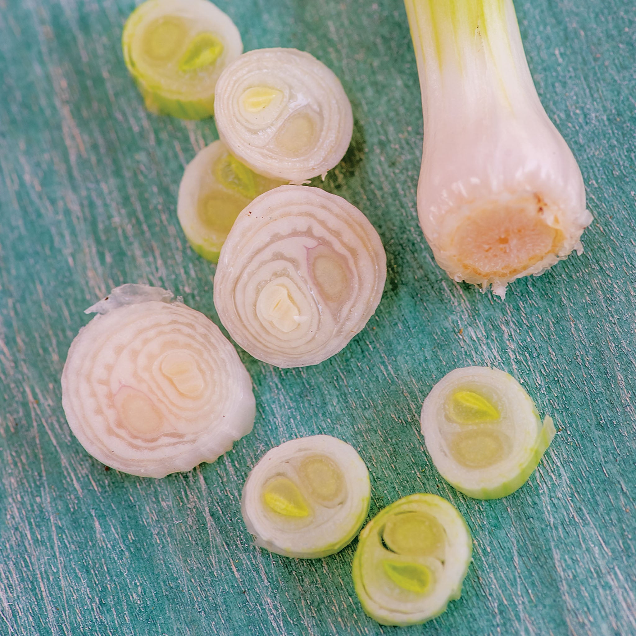 Allion Chives