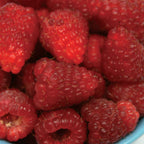 Joan J Raspberry Bare Roots
