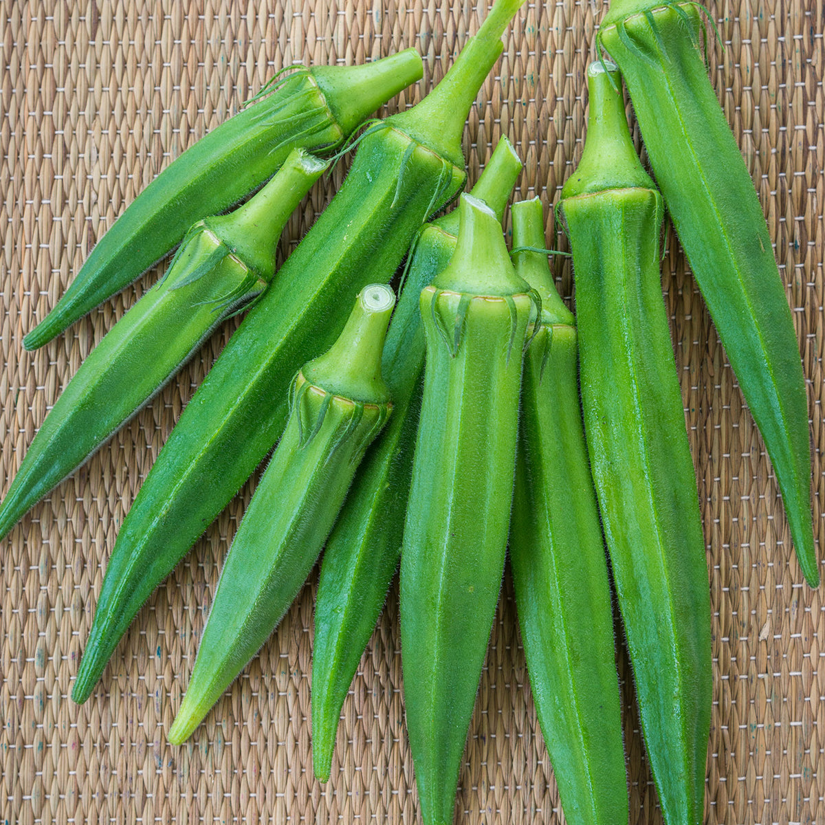 Go Big Okra