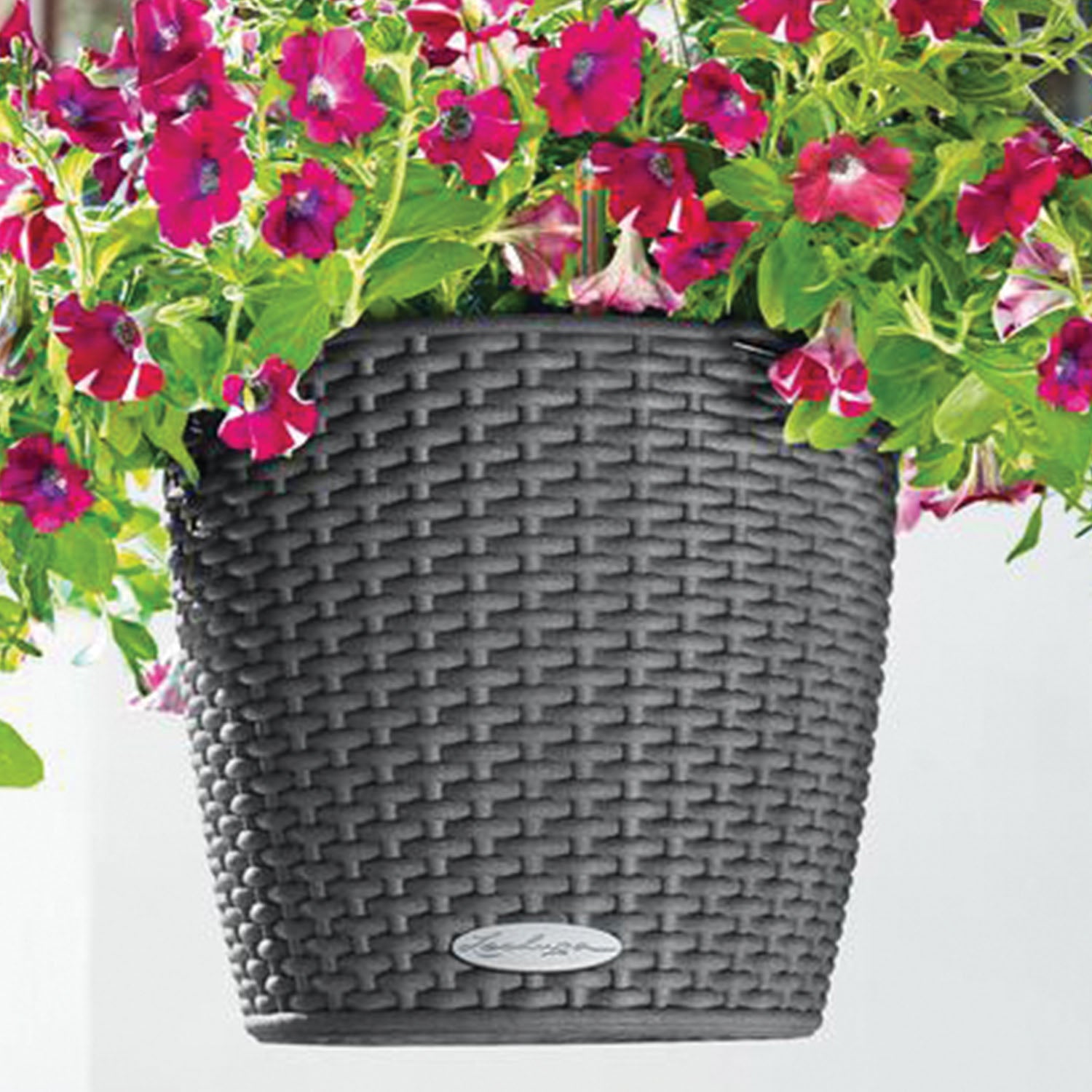 Self-Watering Hanging Basket