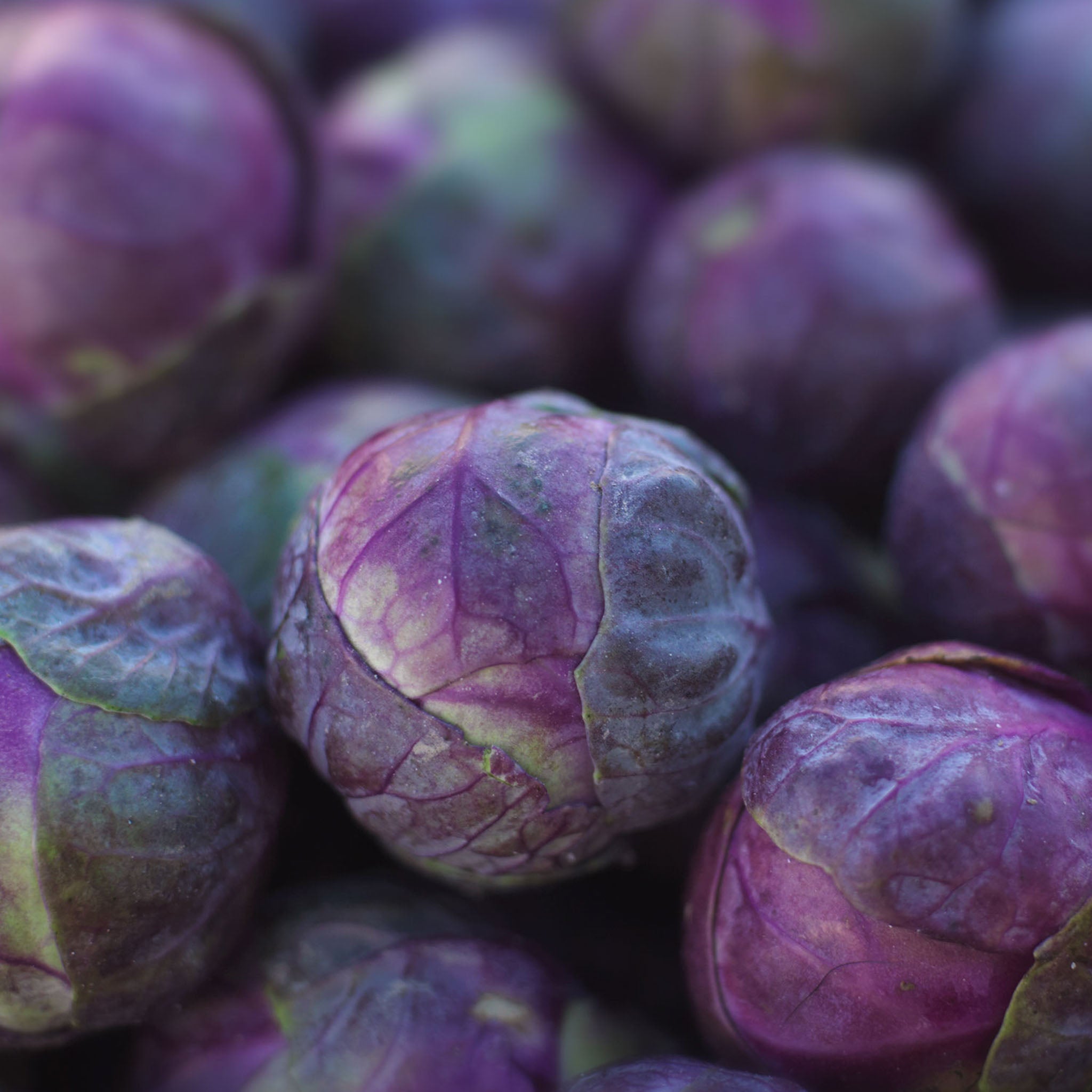 Redarling Brussels Sprouts