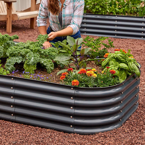 Do You Have An Easy Annual Flower Border Design Burpee Seeds Plants do-you-have-an-easy-annual-flower-border-design-burpee-seeds-plants