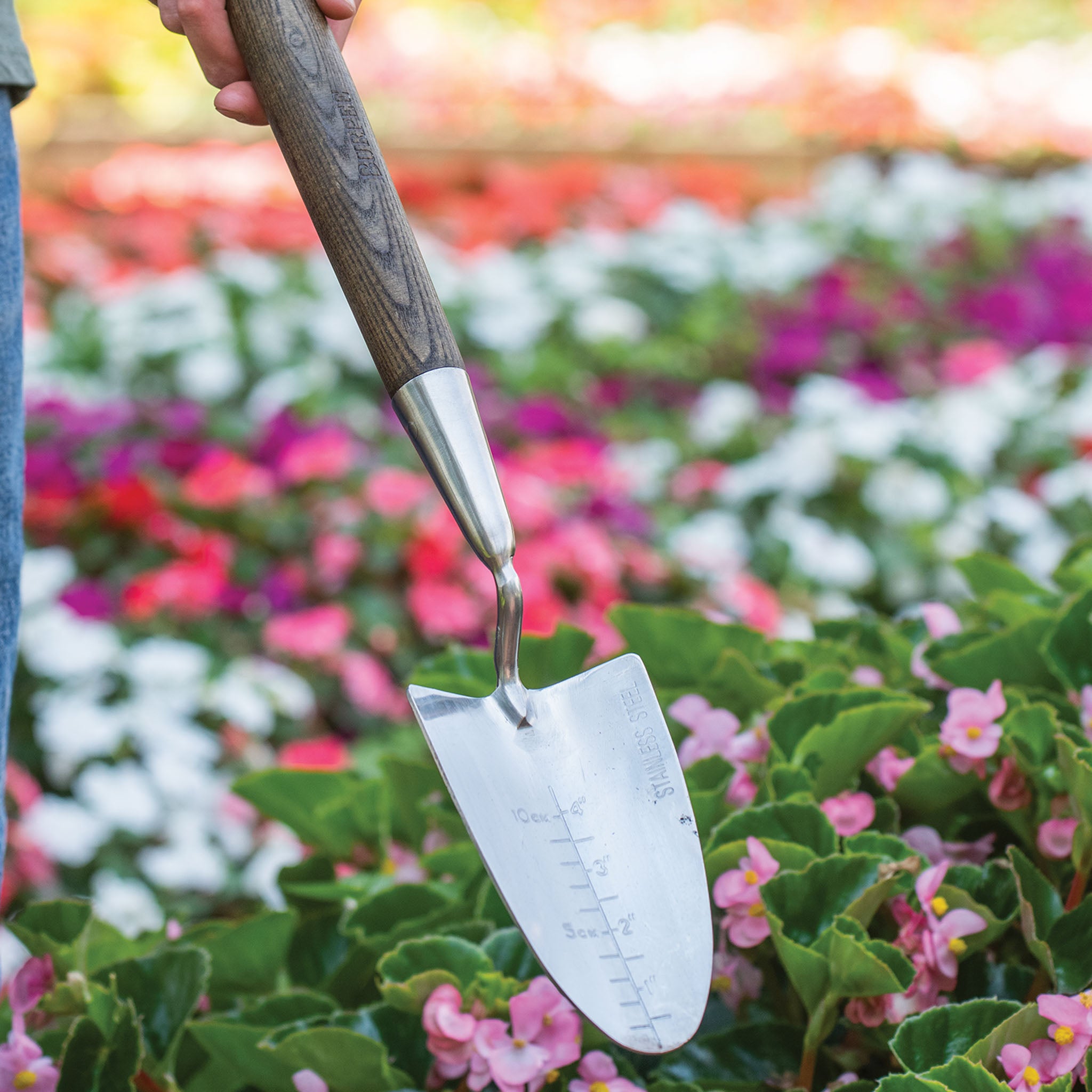 Burpee Stainless Steel Long Handle Trowel