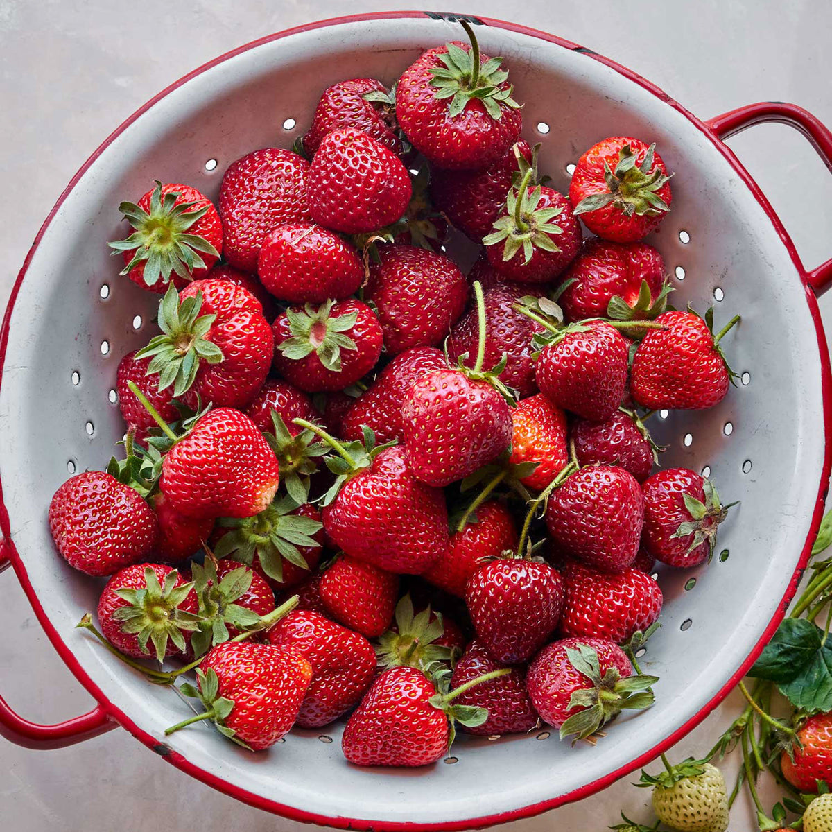 Honeoye Strawberry Bare Root