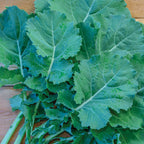Premier Kale