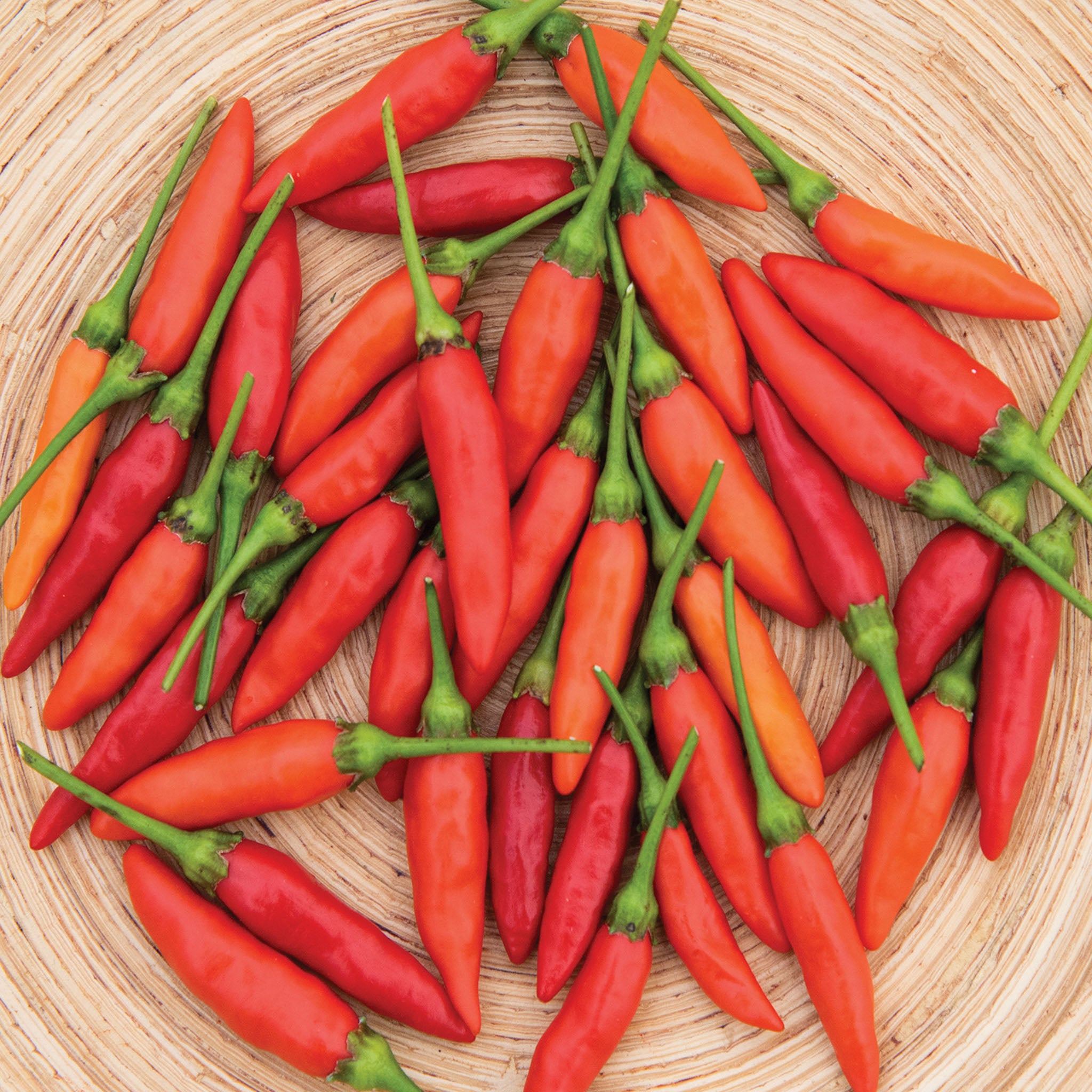 Tabasco Hot Pepper