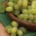 Marquis Seedless Grape