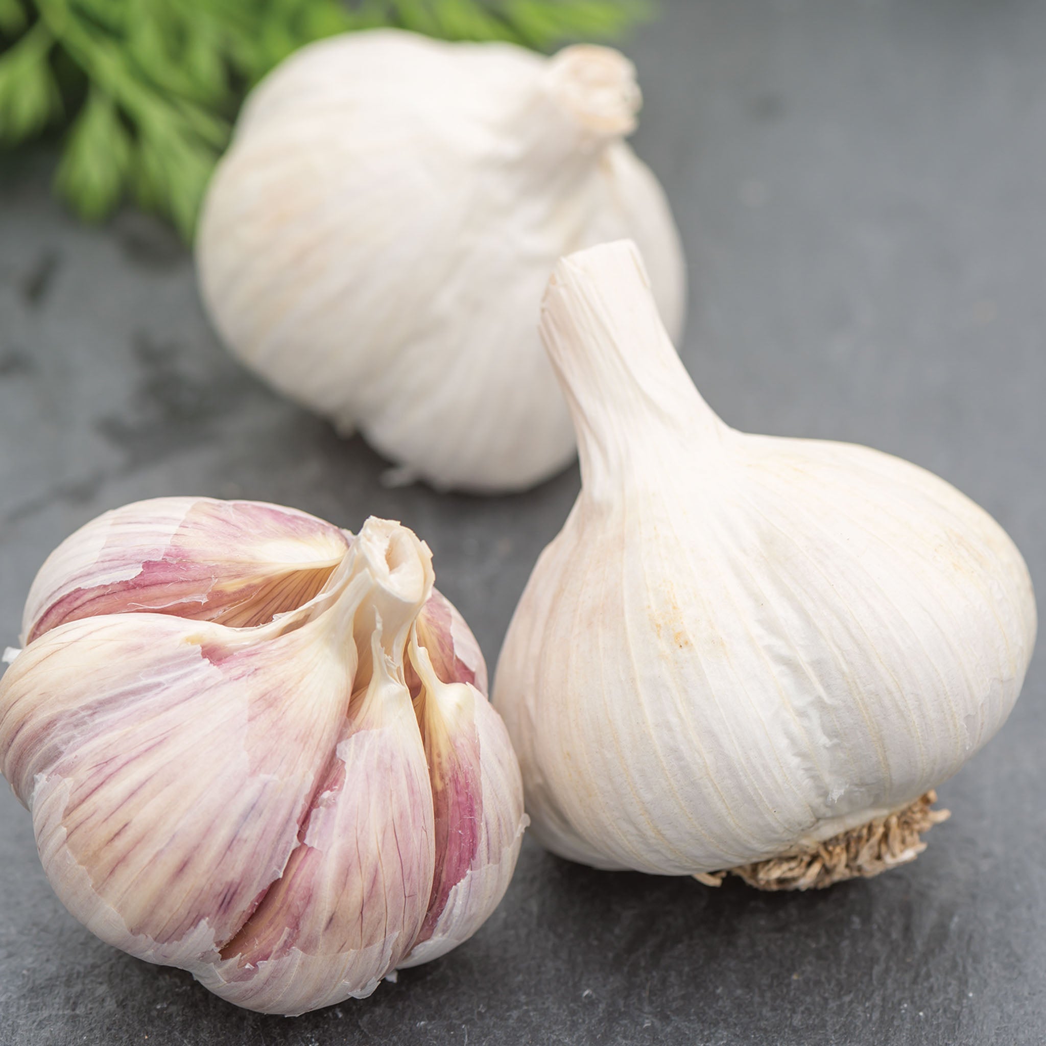 Romanian Red Garlic Bulbs