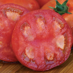 Sweet Seedless Tomato