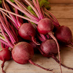 Detroit Dark Red Medium Top Beet