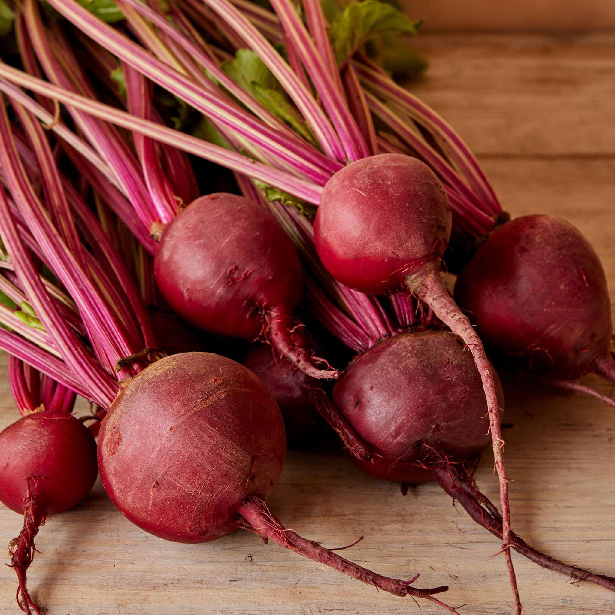 Detroit Dark Red Medium Top Beet