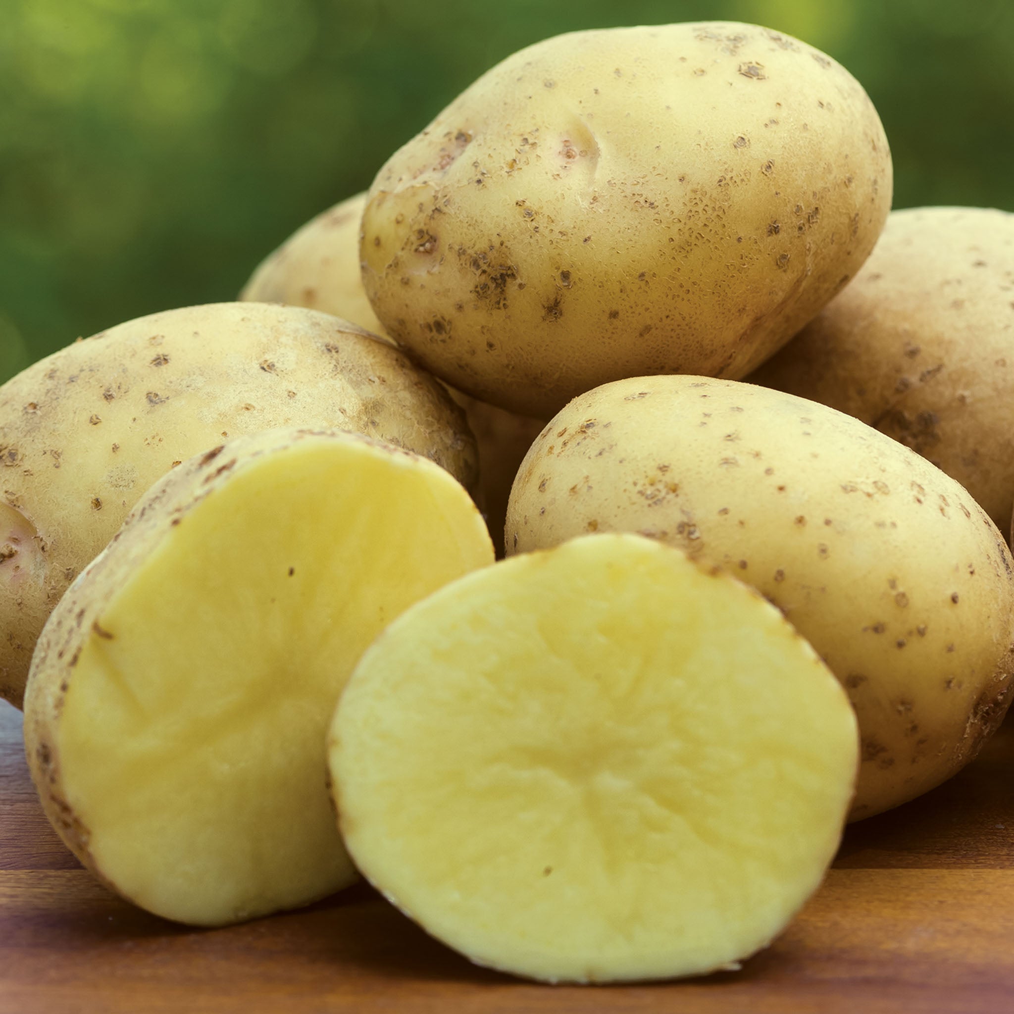 Yukon Gold Potato Tubers