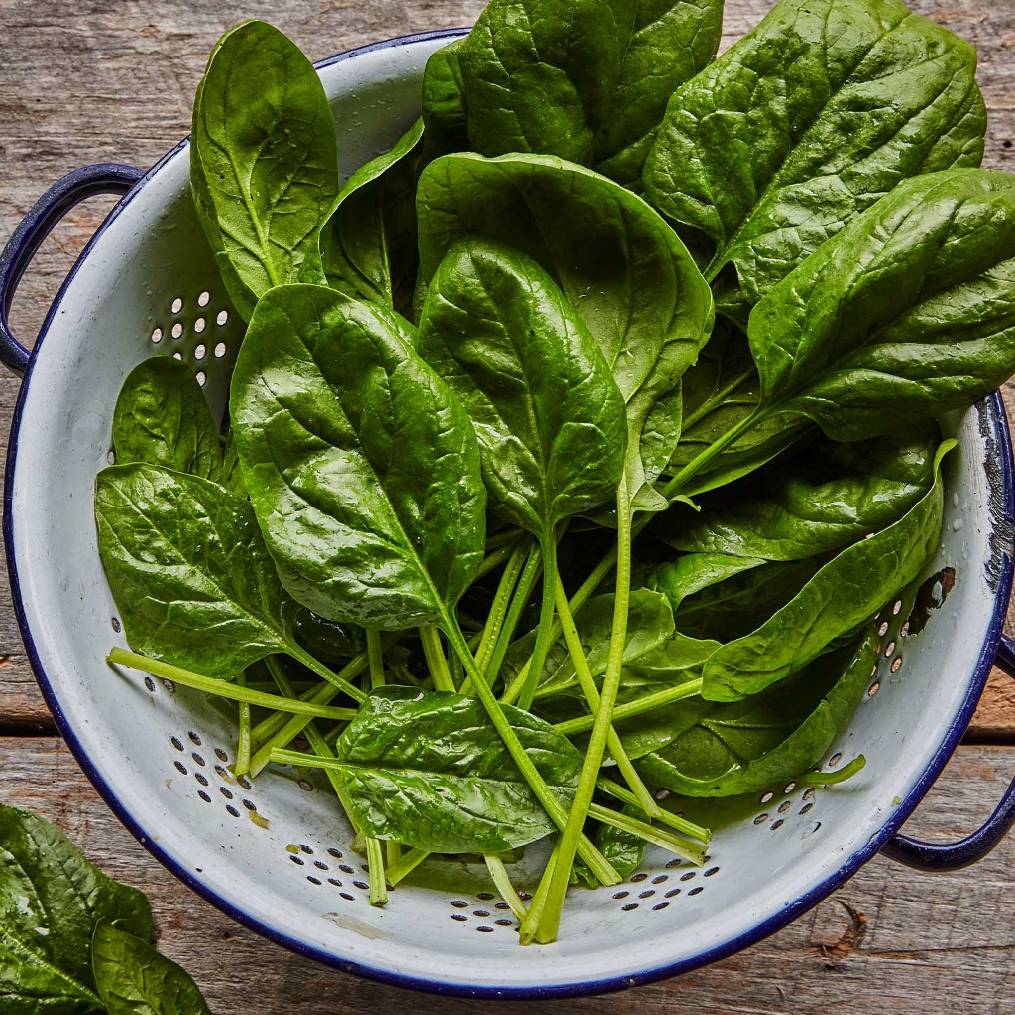 Bloomsdale Long Standing Spinach