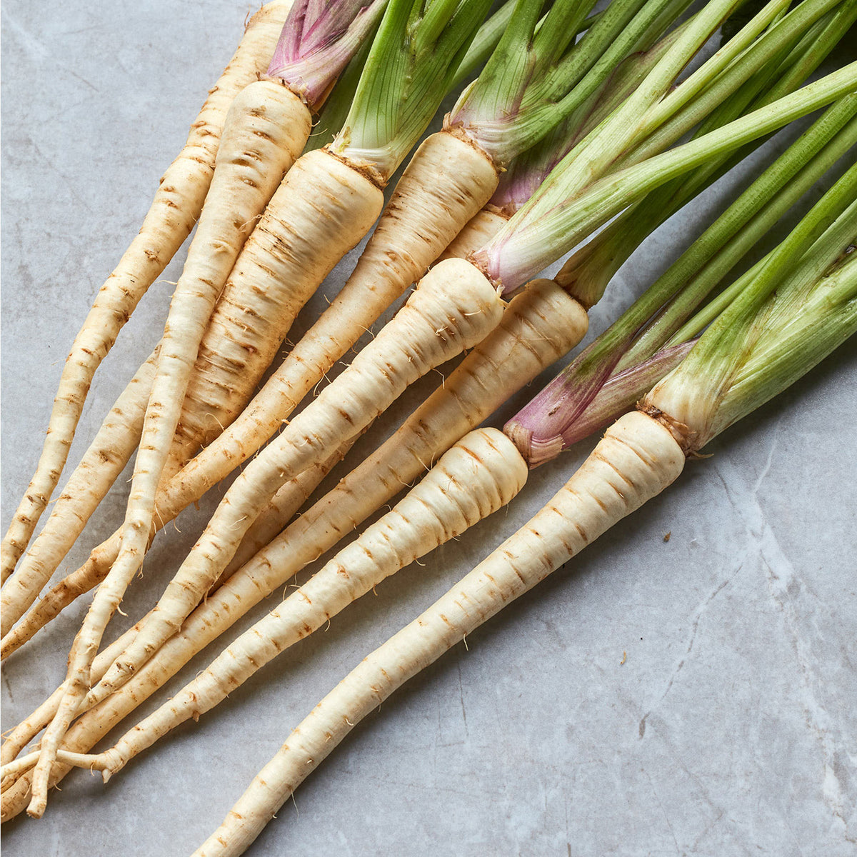 Hollow Crown Parsnip