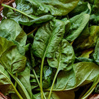 Space Spinach
