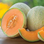 Sugar Cube Cantaloupe