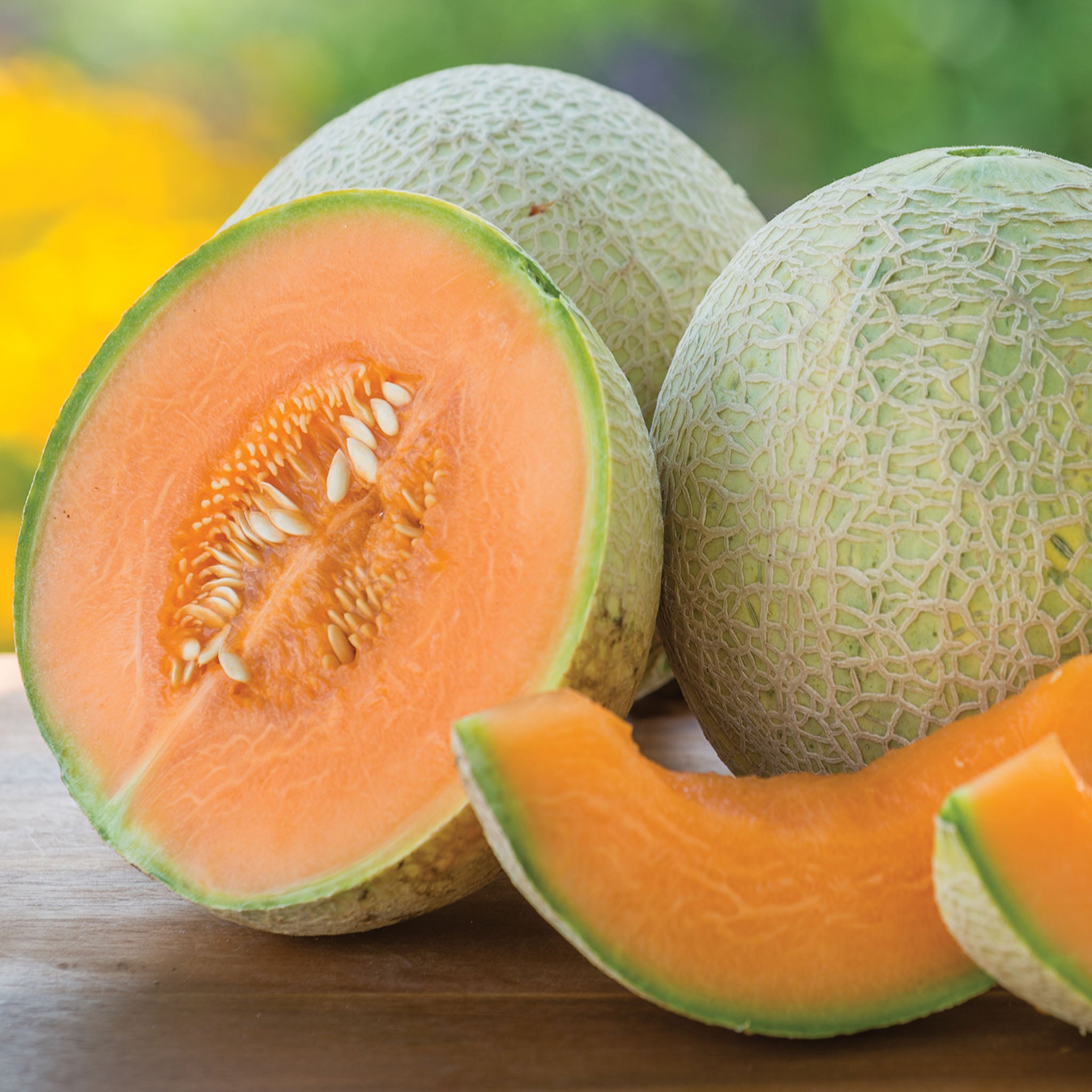 Sugar Cube Cantaloupe