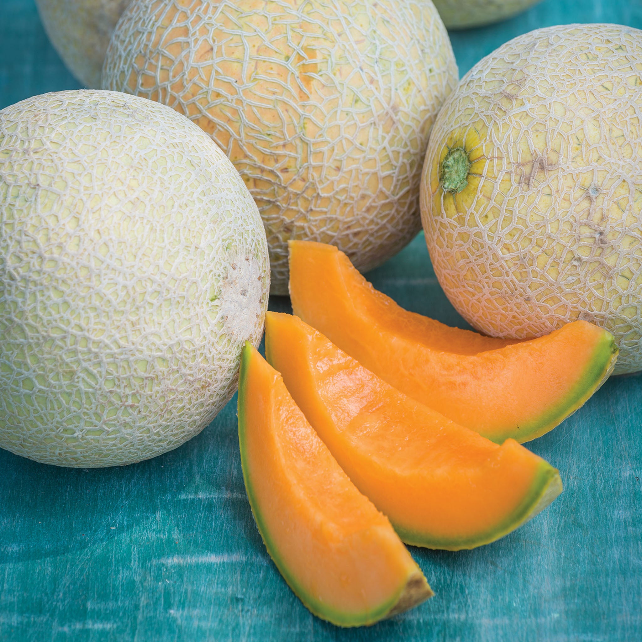 Sugar Cube Cantaloupe
