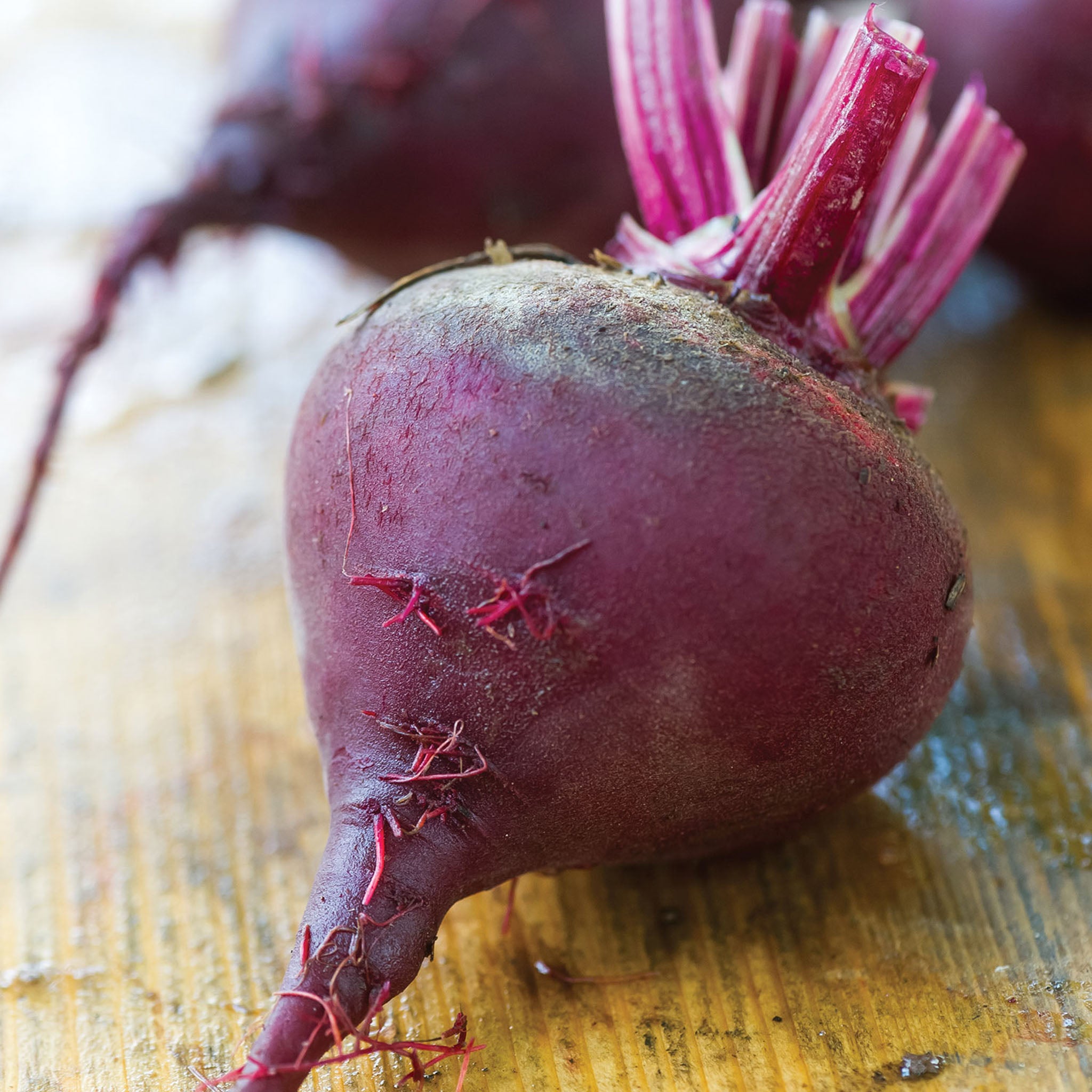 Moulin Rouge Beet