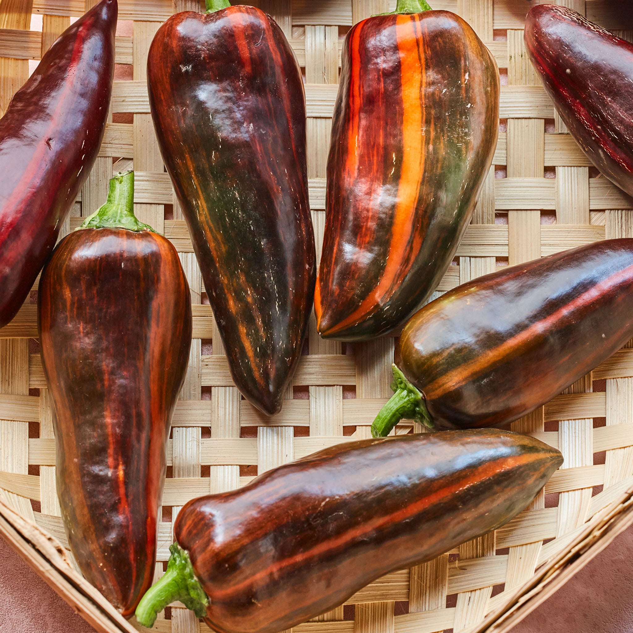 Mocha Swirl Sweet Pepper