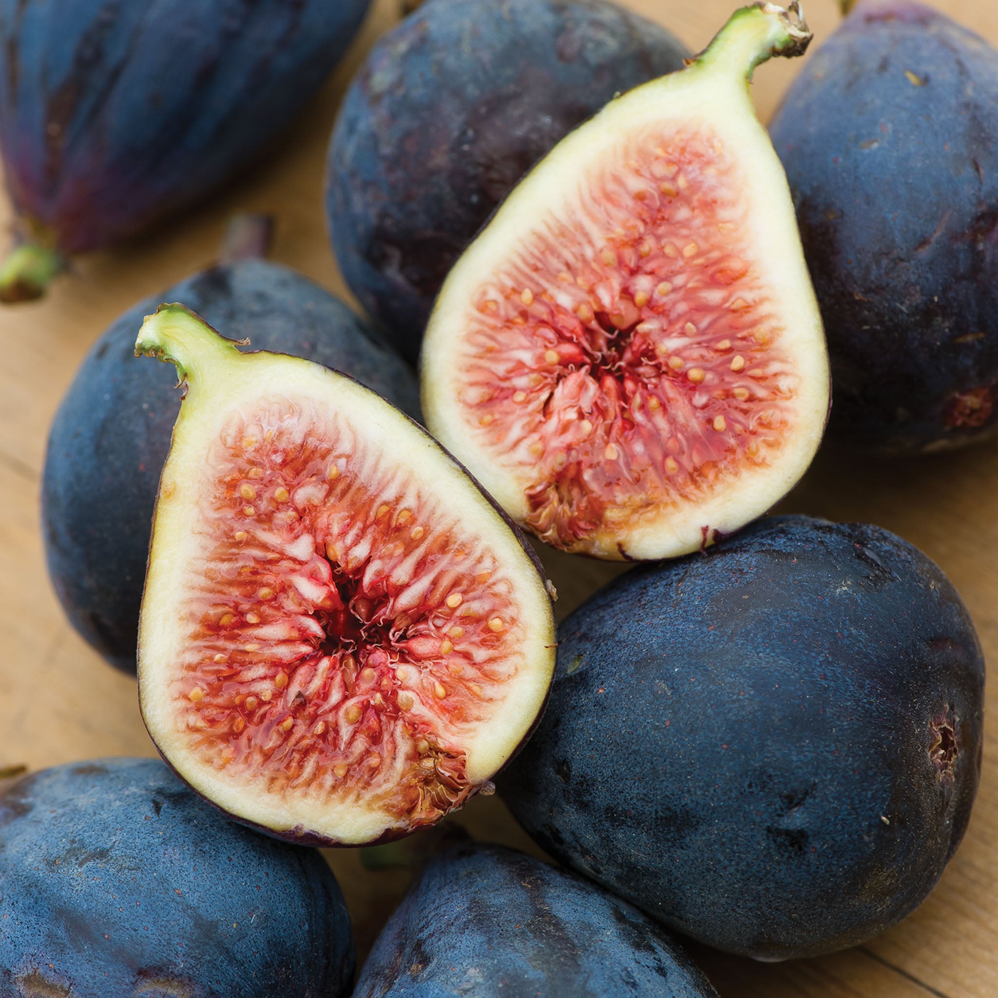 Black Mission Fig