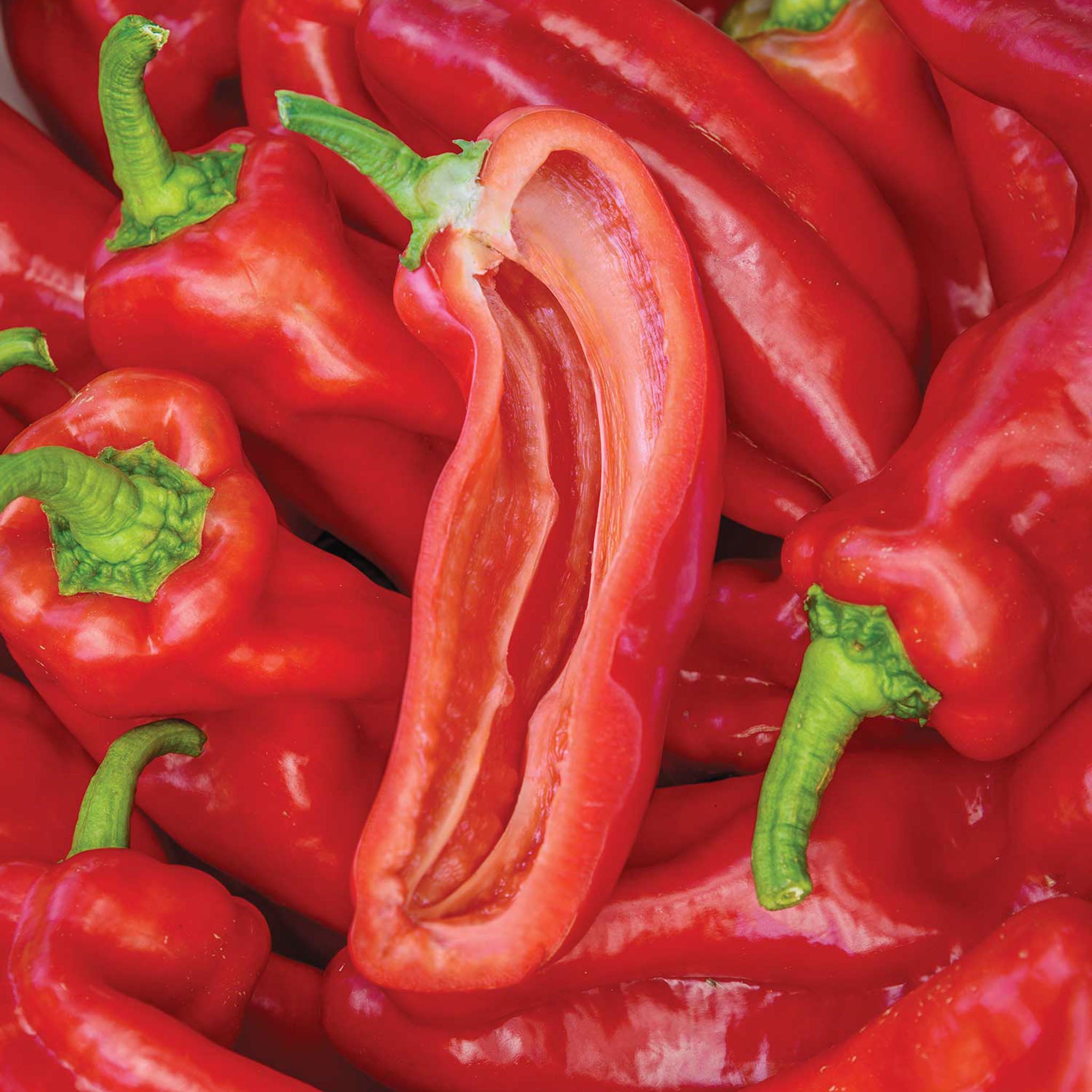 PeppiGrande Red Sweet Pepper