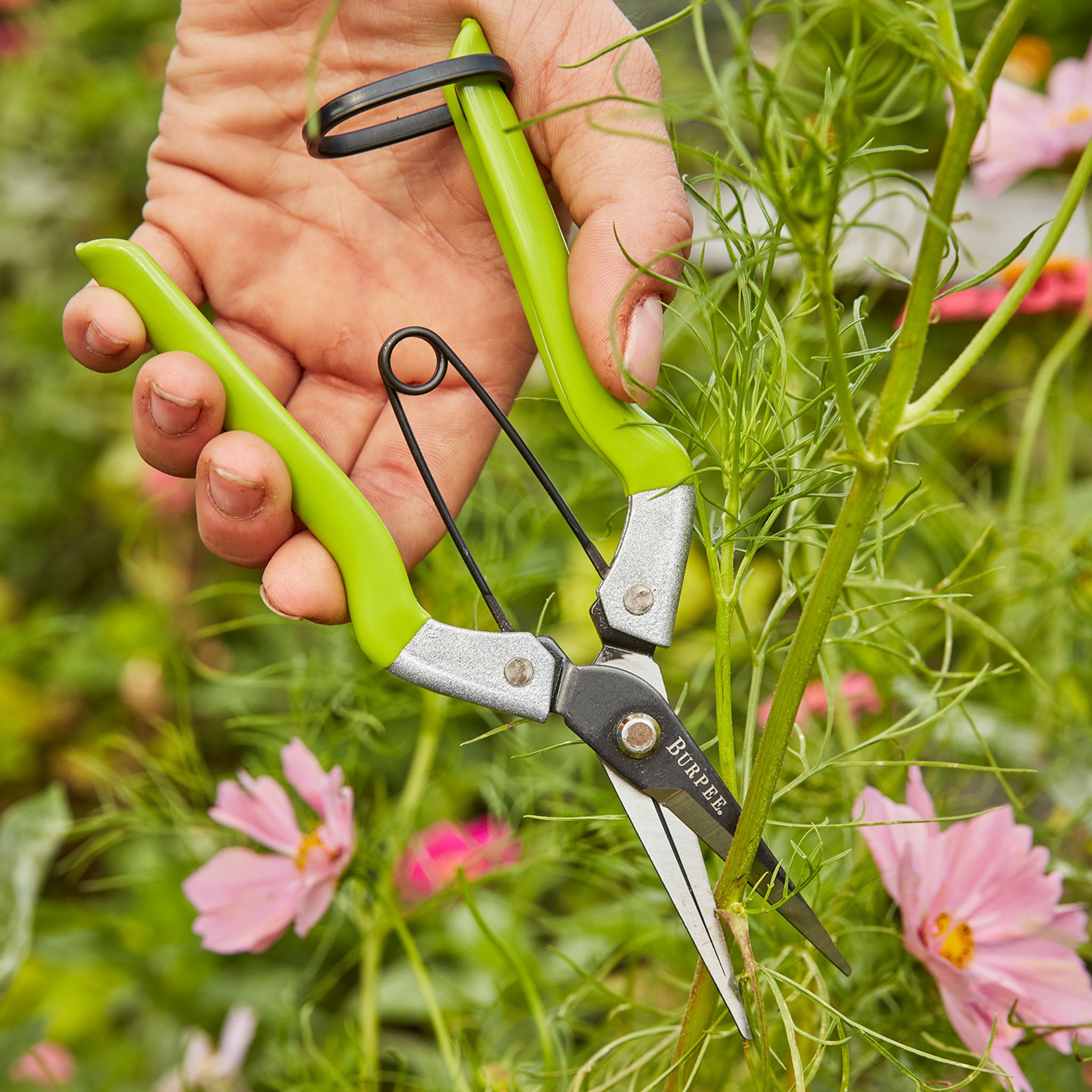 Burpee CR725 Garden Pruning Shears