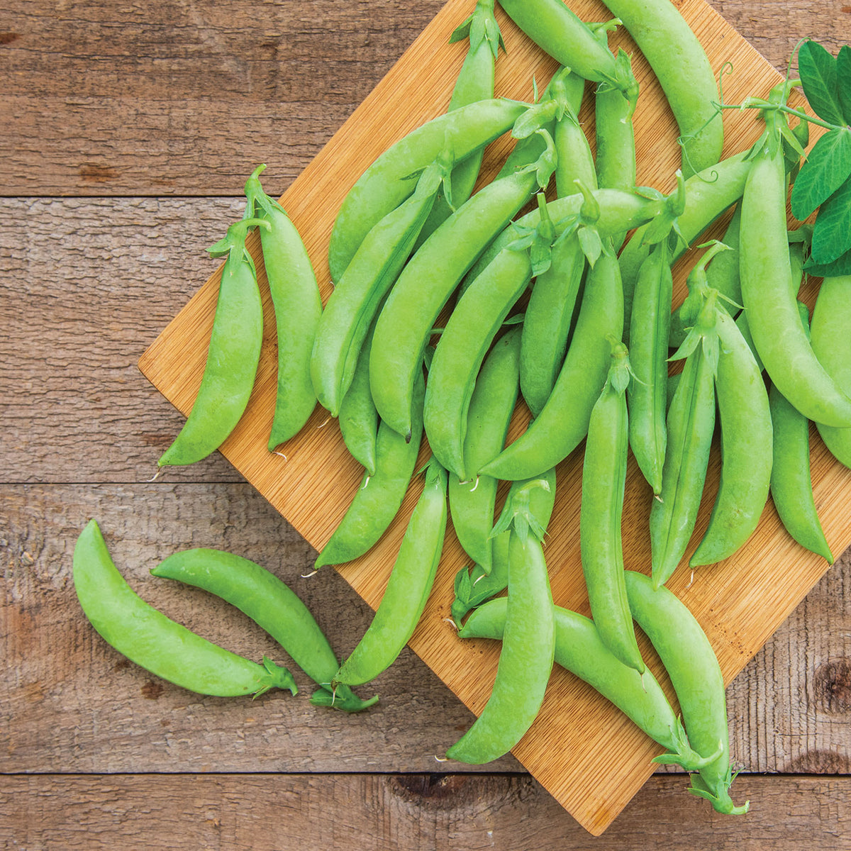 Shebang Pea