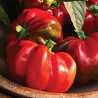 Real Deal Hot Pepper
