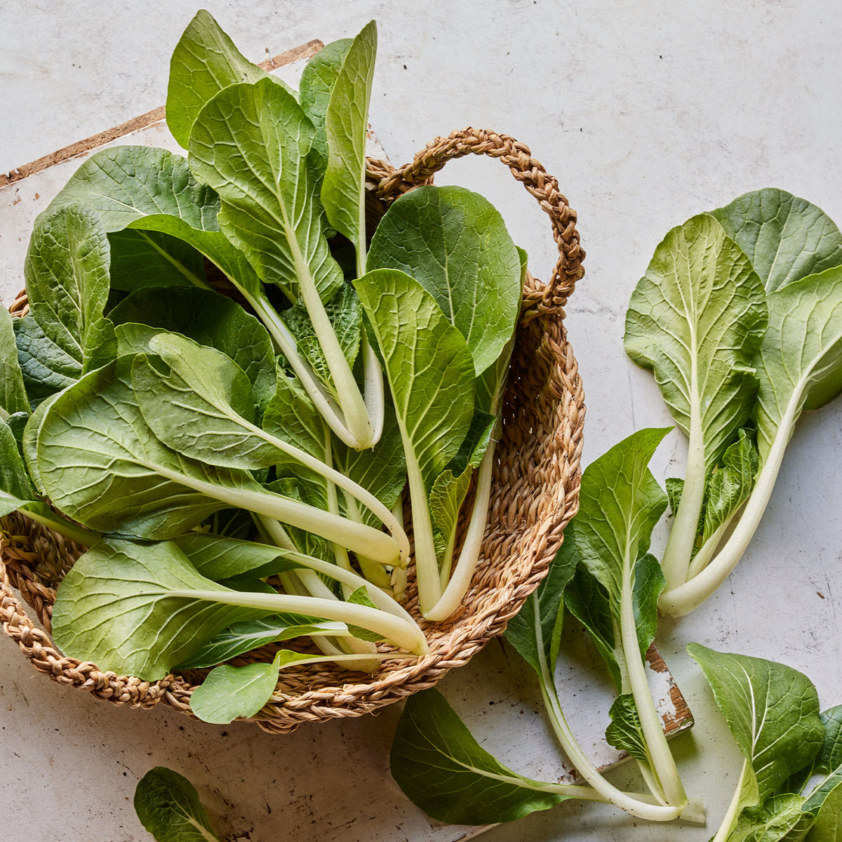 Pure Joy Pak Choi