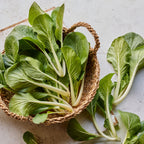 Pure Joy Pak Choi