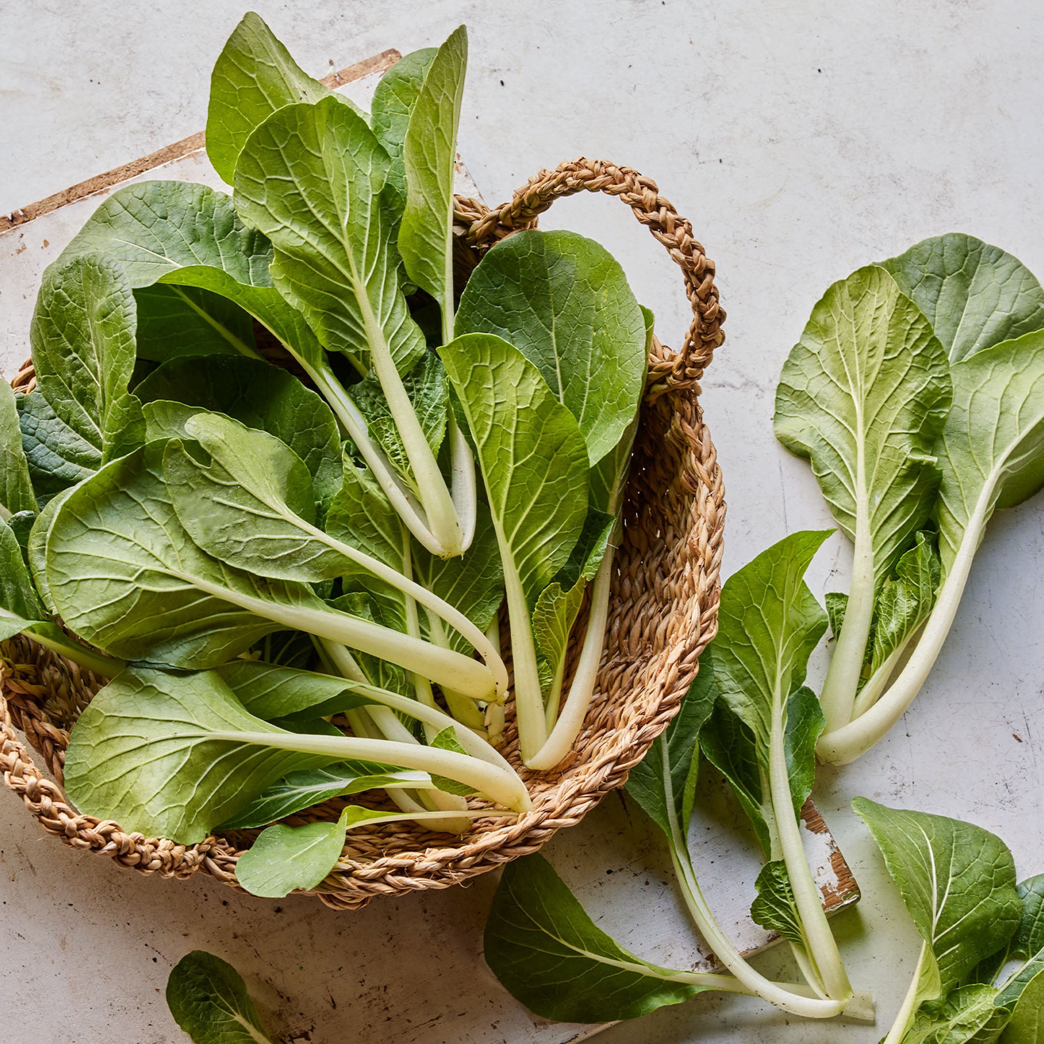 Pure Joy Pak Choi