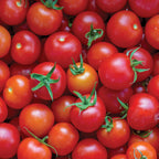Super Sweet 100 Tomato