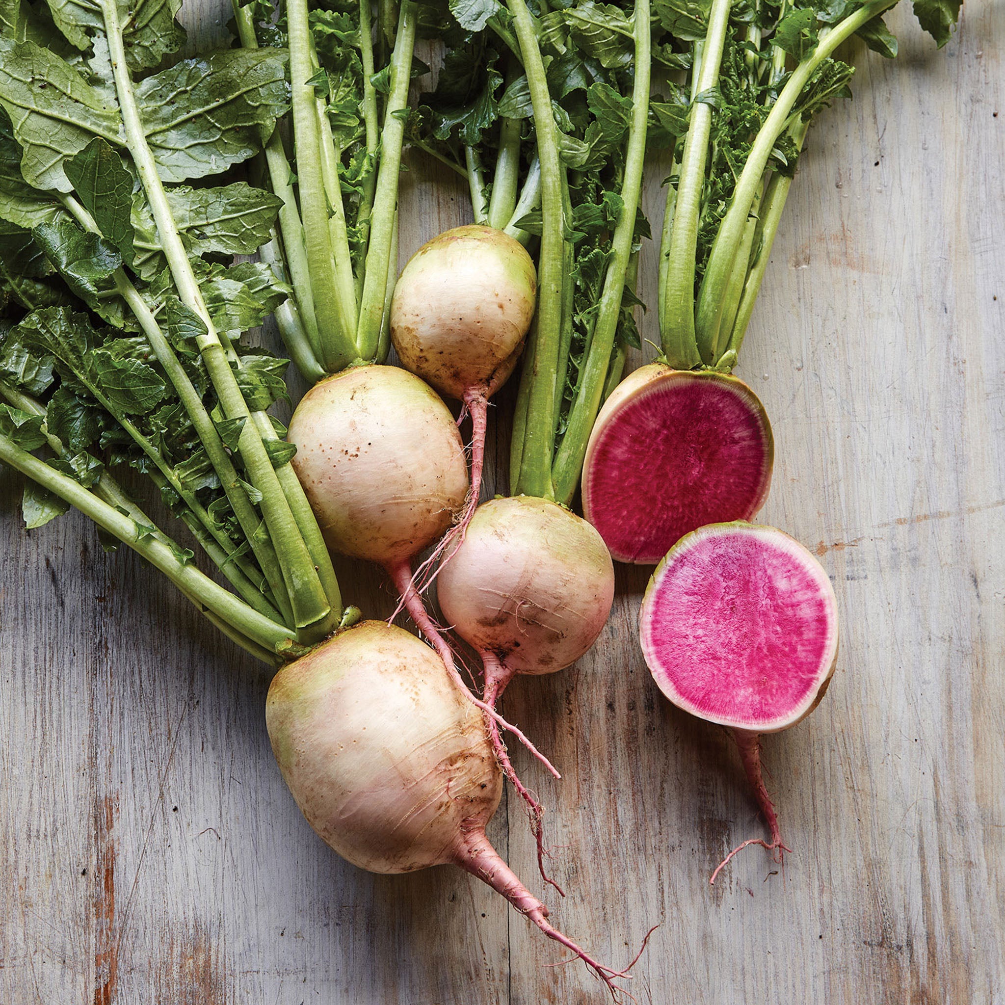 Watermelon Radish